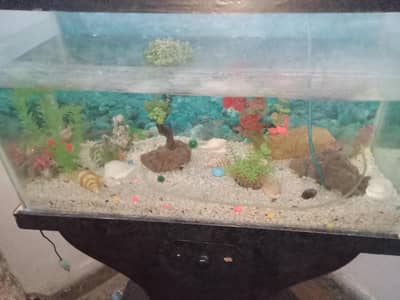 aquarium for sale