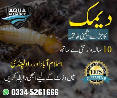 Termite Control Services