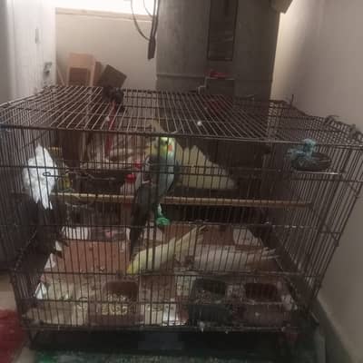 Big size Bird Cage for Sale in reasonable price- 8/10 Condition*