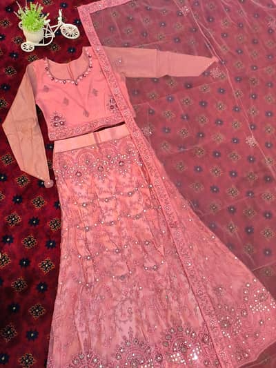 Beautiful Soft Pink Lehenga