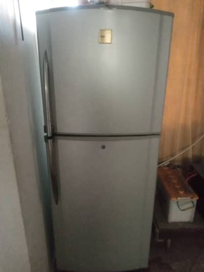 Make toshiba, no frost, 5ft (approx)