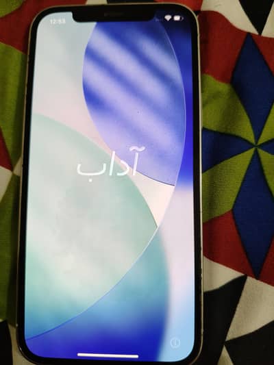 Apple iPhone 12 Pro icloud locked for parts