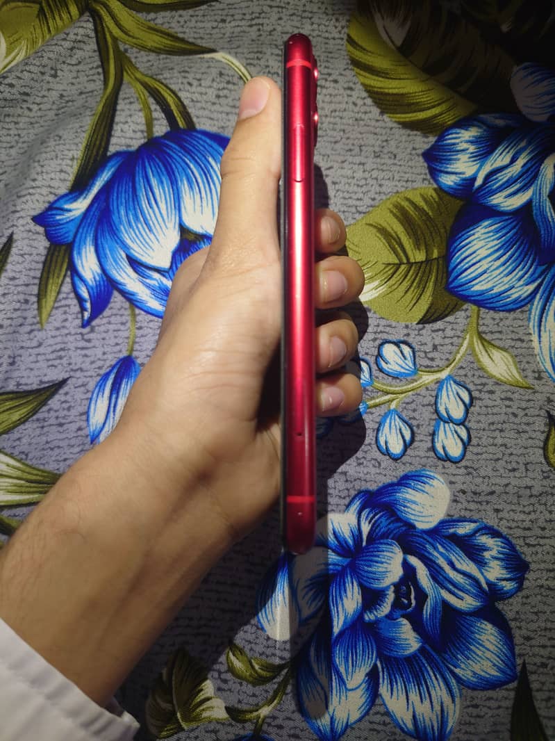 Apple iPhone 11 1