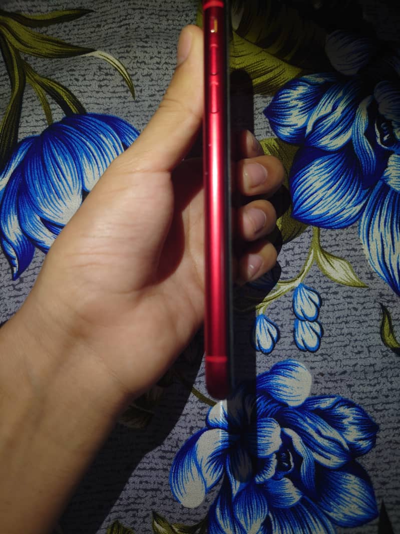 Apple iPhone 11 3