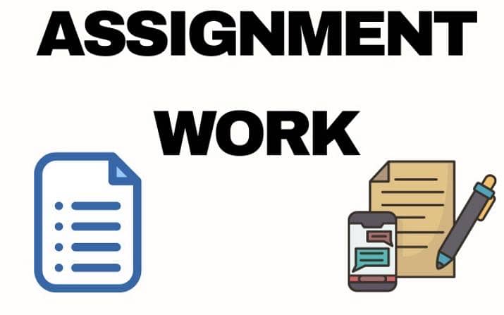 Looking for Professional Assignment Writer 0