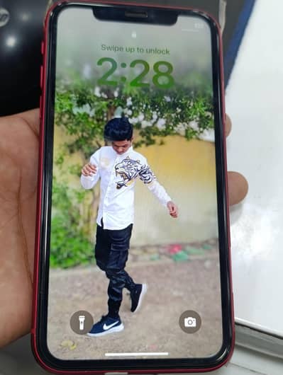 Apple iPhone 11
