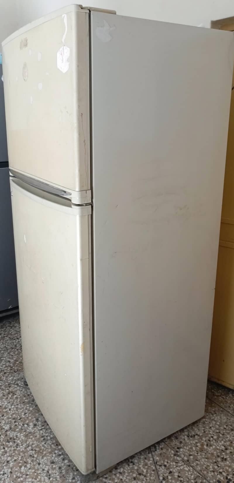 fridge 6