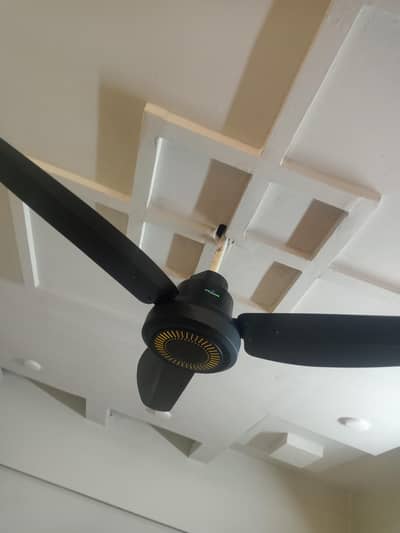 Faras ceiling fan for sell