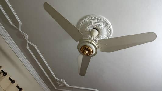 sk fan crystal model