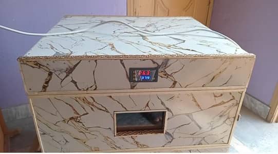 100 eggs incubator