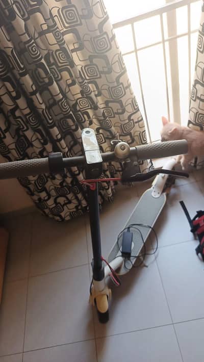Lenzod EV scooty