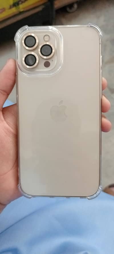 Apple iPhone 12 Pro Max