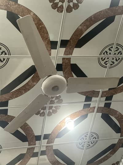 GFC     GFC Original Fan For Sale