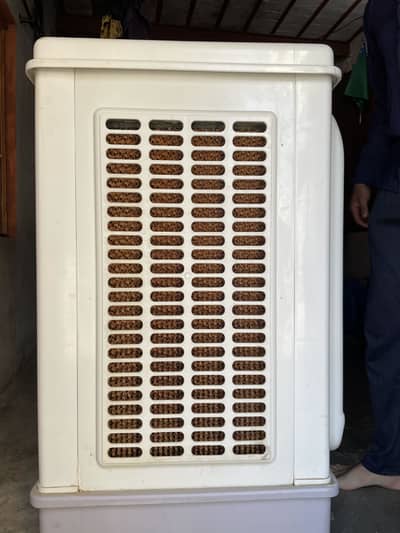 Asia Cooler (RAC-450 series)
