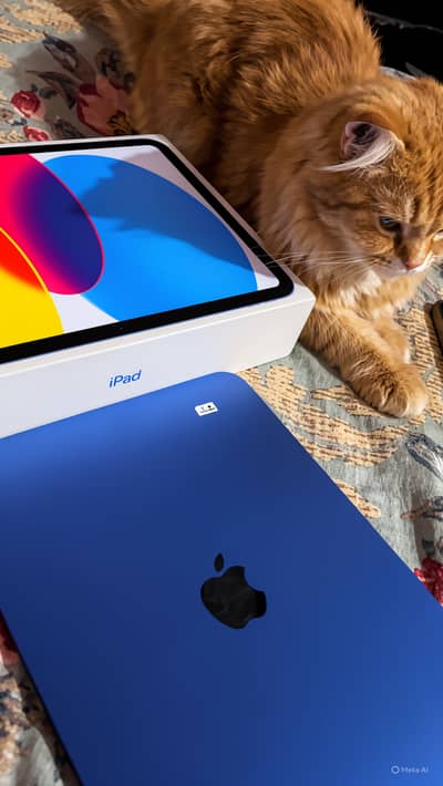 Ipad A16 11th Gen For Sale
