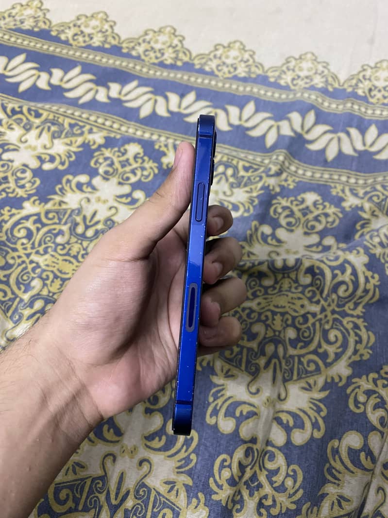 Apple iPhone 12 1
