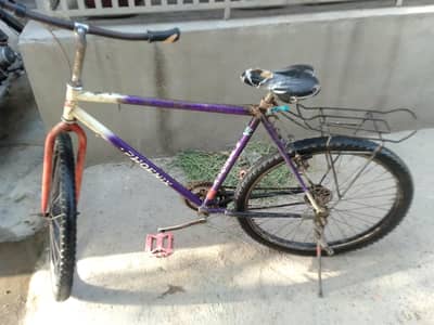 Phoenix Cycle 26 " inches urgent for sale