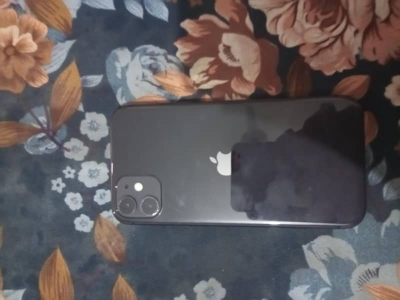 Apple iPhone 11 0