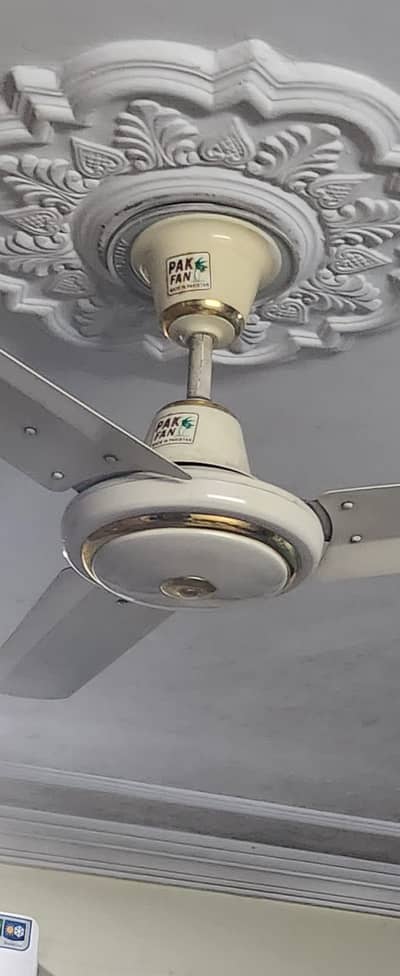 Pak Fan Almost new
