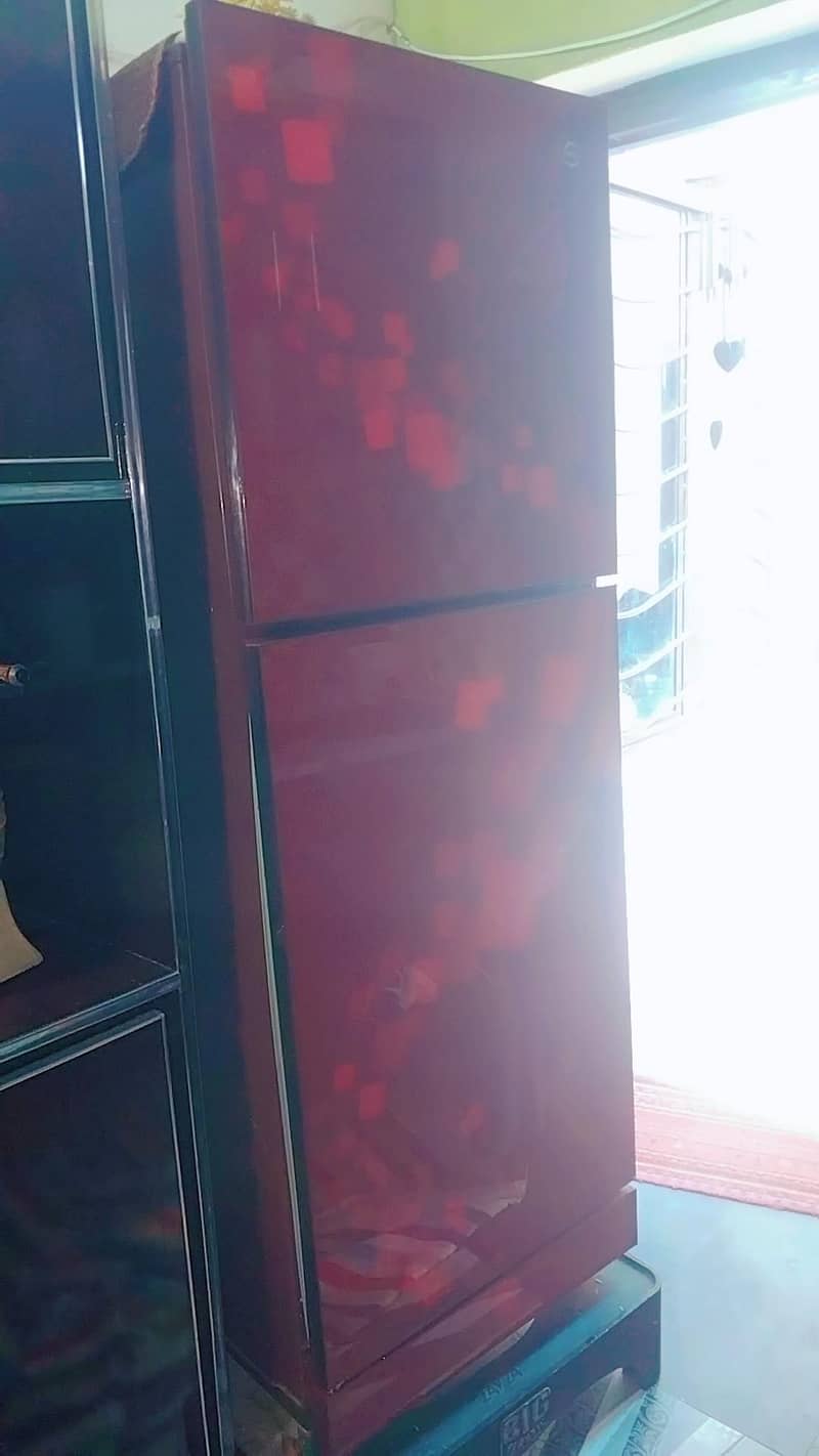 fridge 2