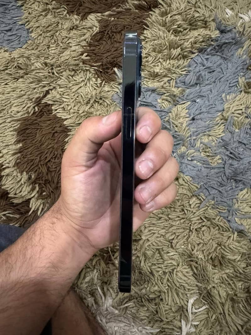 12 pro max HK model 4