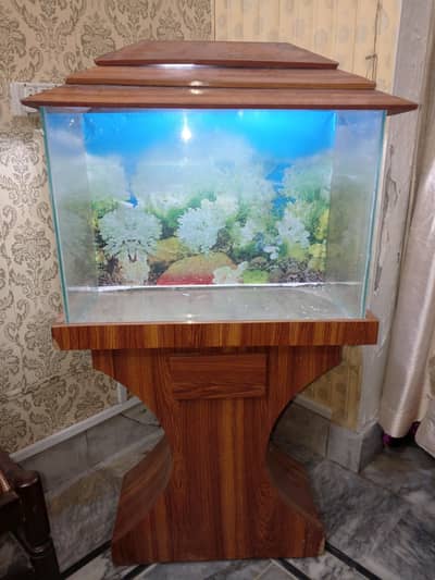 Fish Acquarium