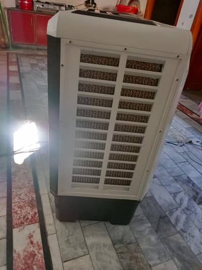 AC DC Cooler For Sale