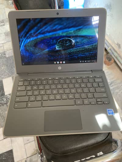 HP, chrome book. Touch screen.