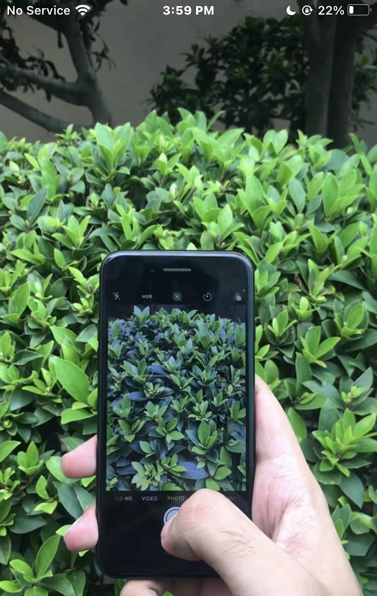 Apple iPhone 7 0