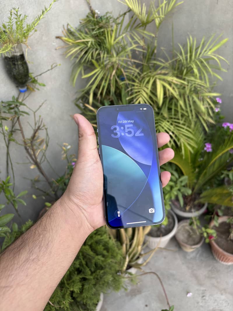 iPhone 13Pro Max 1