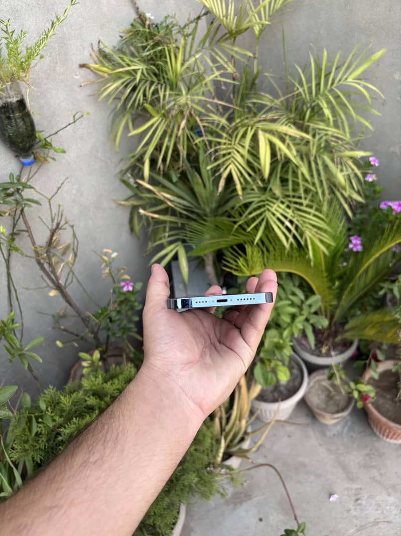 iPhone 13Pro Max 2