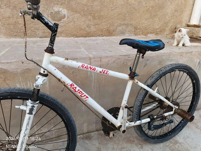 Mountain bicycle 1