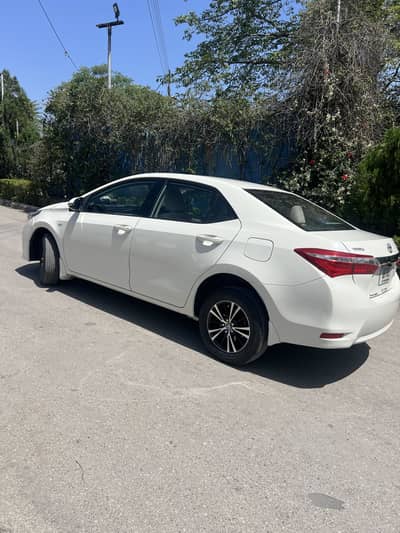 Corolla xli