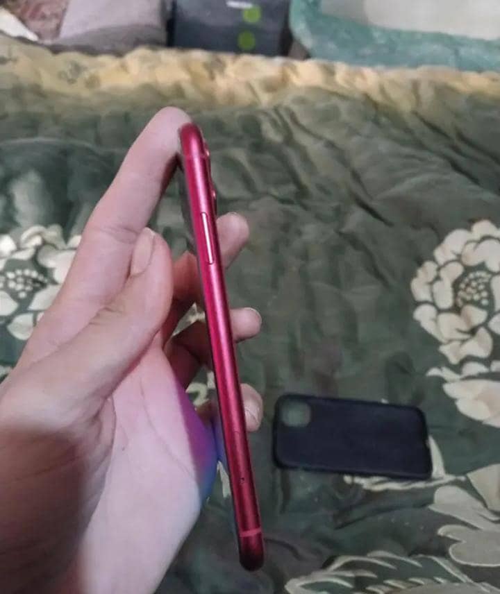 Apple iPhone 11 3