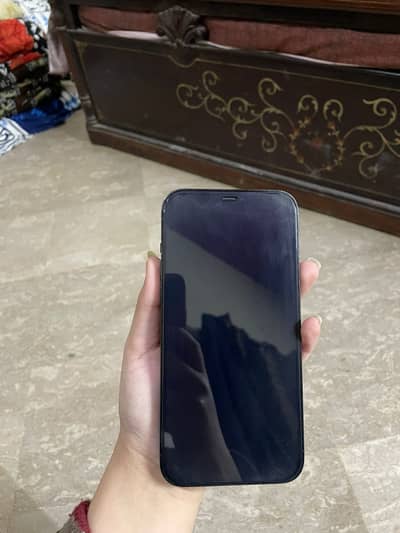Apple iPhone 12 Pro Max