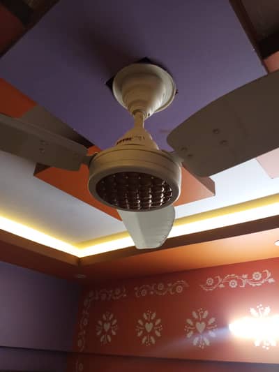 royal fan