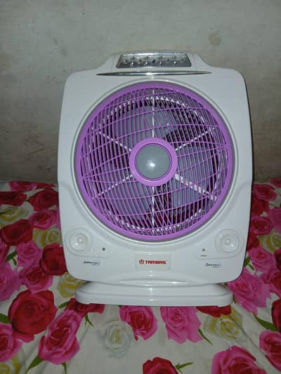 Portable Fan