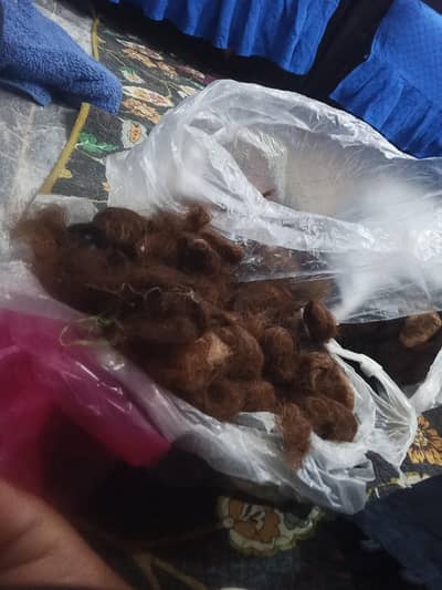 hair for sale