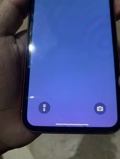 iPhone XR factory unlock