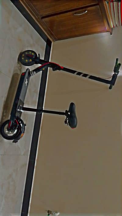 Adult Electric scooty