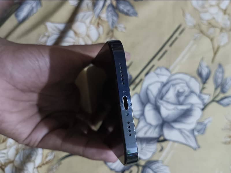 iPhone 12 Pro Max 6