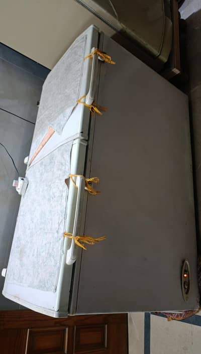 waves deep freezer 2in1