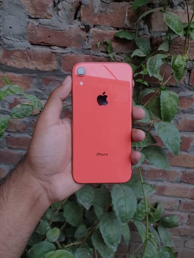 Apple iPhone XR