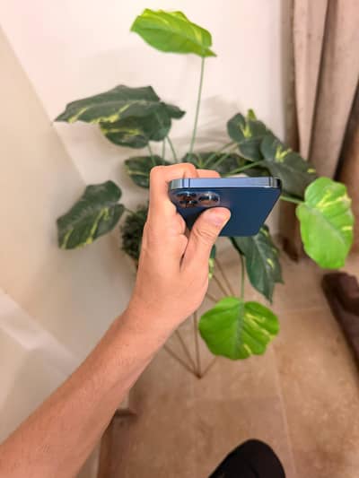 Apple iPhone 12 Pro Max