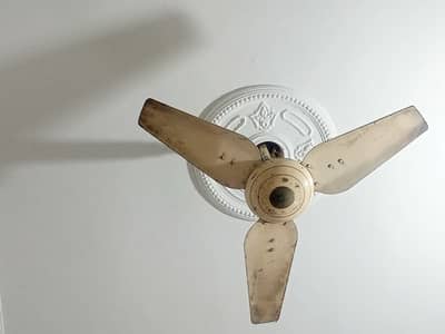 Ceiling Fan for sale