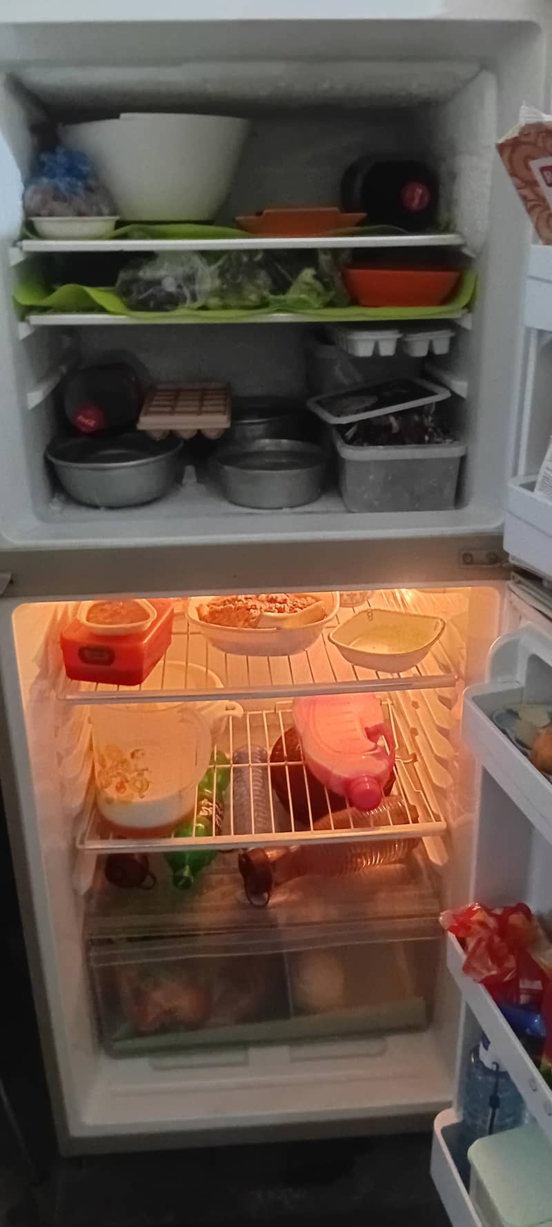 fridge 2