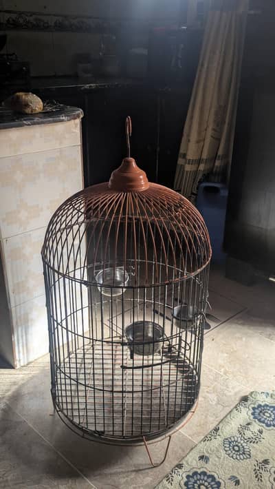 RAW and Grey Cage for sale