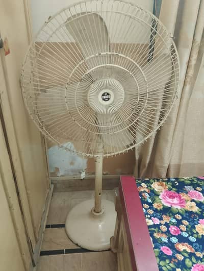 pedestal fans