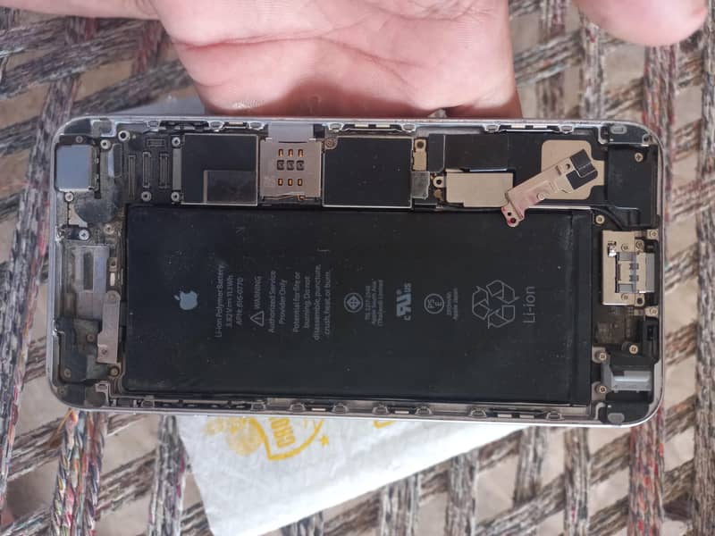 Apple iPhone 6 Plus 1