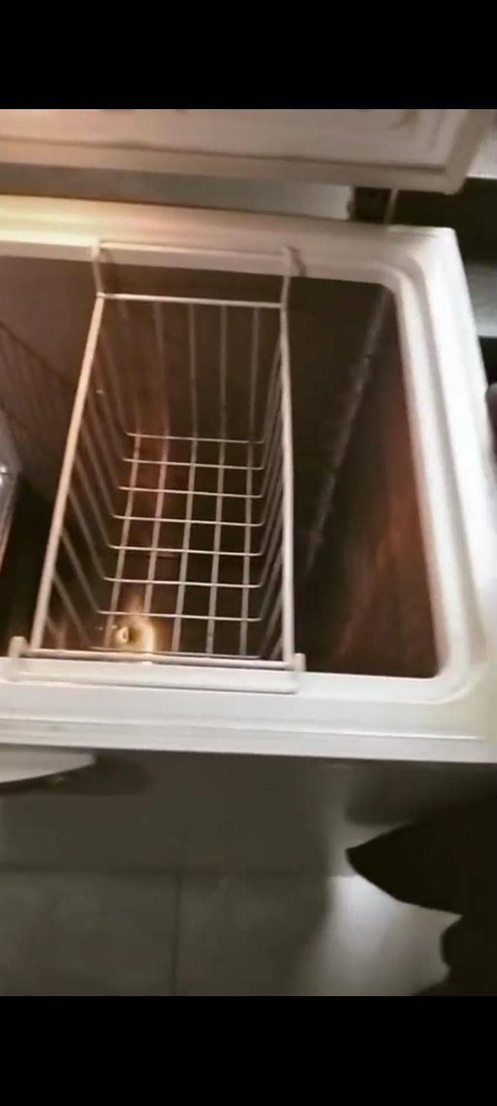 Deepfreezer 1